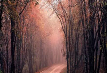 中国羽毛球大师赛,国羽两冠收官环球时报.