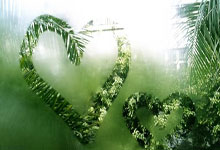 99秒回顾第九届哈尔滨亚冬会圣火传递精彩瞬间央视新闻客户端.