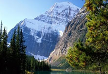 林诗栋,稳!晋级WTT重庆冠军赛男单四强央视新闻客户端.